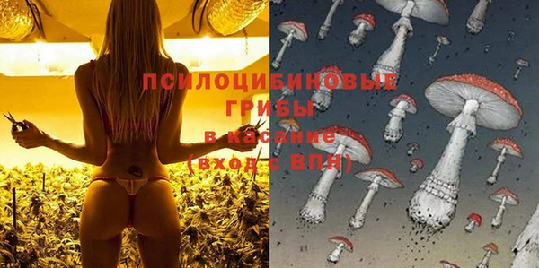 таблы Богородицк