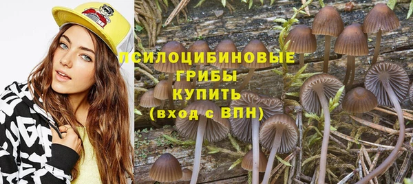 альфа пвп Богданович