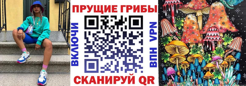 где найти наркотики  это официальный сайт  Галлюциногенные грибы Psilocybine cubensis  Энгельс 