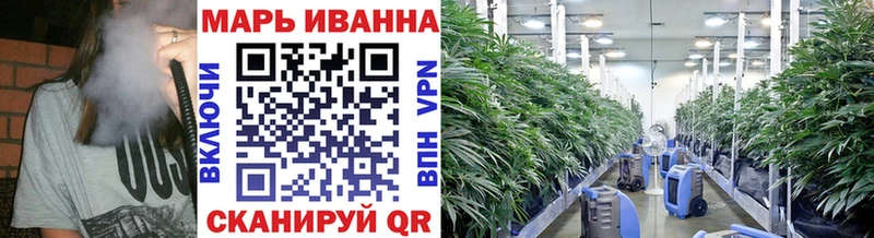 Бошки марихуана Ganja Энгельс